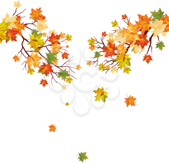 Autumn maple tree with  falling leaves. Vector illustration.