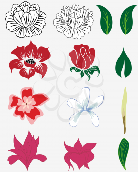 Set of different flower and leaves for self-supporting making floral ornate.