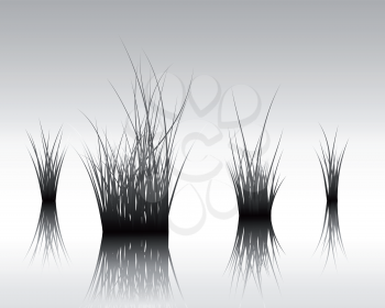 Vector grass silhouettes background with reflection in water. All objects are separated.