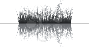 Vector grass silhouettes background with reflection in water. All objects are separated.