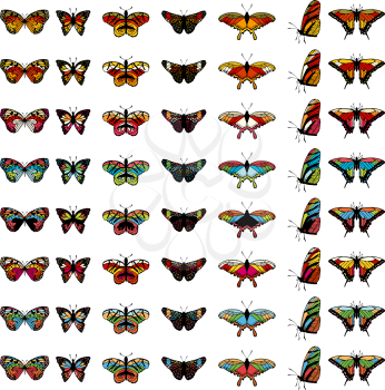 Set of butterflies in different colors. EPS 10 vector illustration.