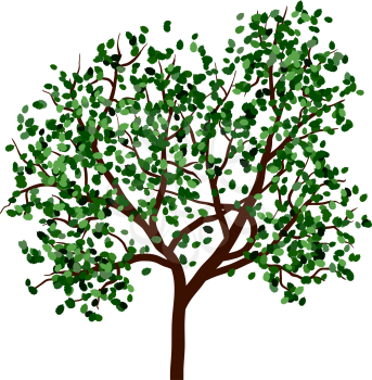 Summer tree with green leaves. EPS 10 vector illustration.