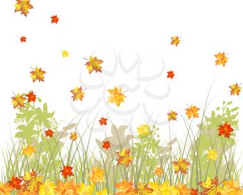 Meadow background with maple leaves. All objects are separated. Vector illustration.