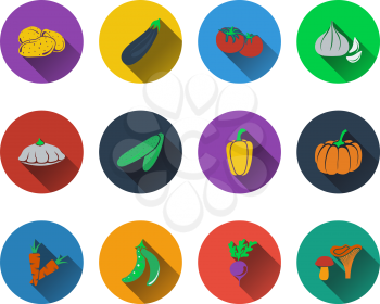 Radish Clipart