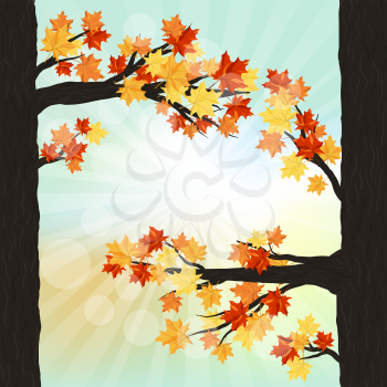 Autumn  Frame With Maple Leaves on Branches of Tree  Over Sky Background. Elegant Design with Text Space and Ideal Balanced Colors. Vector Illustration.