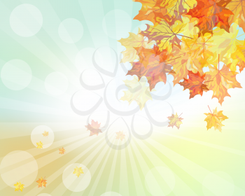 Autumn  frame with falling  maple leaves on sky background. Elegant design with rays of sun and ideal balanced colors. Vector illustration.
