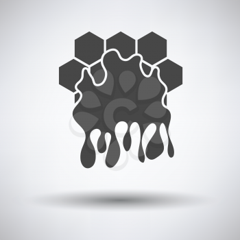 Honey icon on gray background, round shadow. Vector illustration.