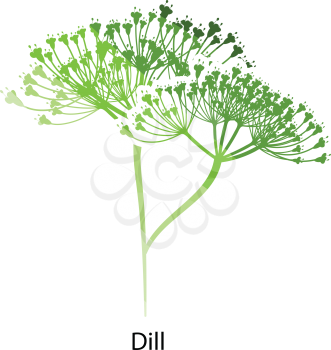 Dill  icon. Flat color design. Vector illustration.