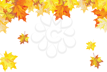 Autumn  Frame With Falling  Maple Leaves on White Background. Elegant Design with Text Space and Ideal Balanced Colors. Vector Illustration.