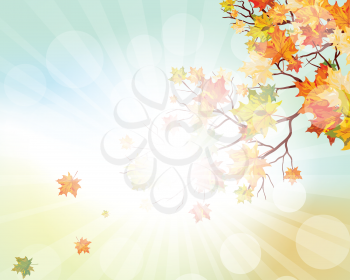 Autumn  Frame With Falling  Maple Leaves on Sky Background. Elegant Design with Rays of Sun and Ideal Balanced Colors. Vector Illustration.