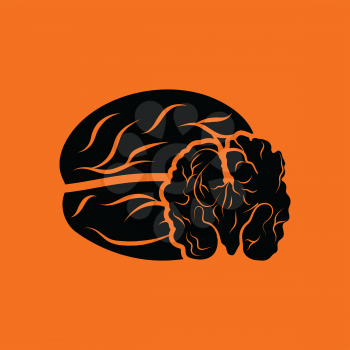 Walnut icon. Orange background with black. Vector illustration.