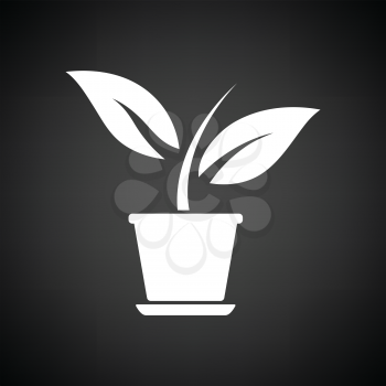 Plant in flower pot icon. Black background with white. Vector illustration.