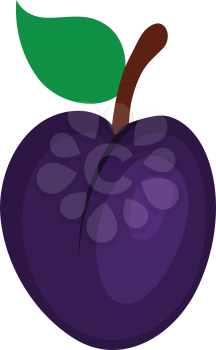 Flat design icon of Plum  in ui colors. Vector illustration. Flat color design.