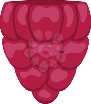 Flat design icon of Raspberry in ui colors. Vector illustration. 