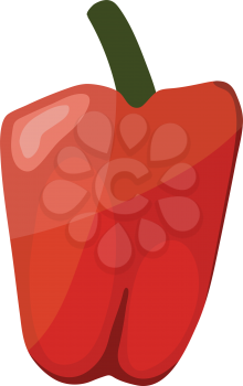 Pepper icon. Flat color design. Vector illustration.