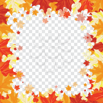 Autumn  Frame With Falling  Maple Leaves on transparency (alpha) grid background. Vector illustration.