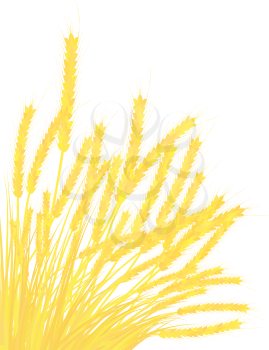 Ears of wheat on blue sky background. EPS 10 vector illustration.
