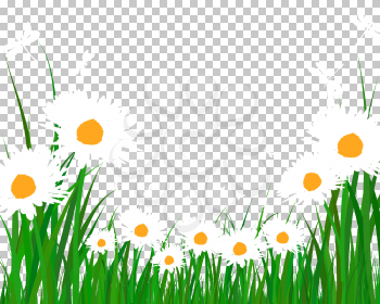 Summer meadow background. EPS 10 vector illustration without transparency.