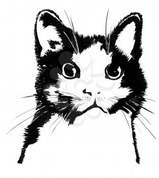 Royalty Free Clipart Image of a Cat