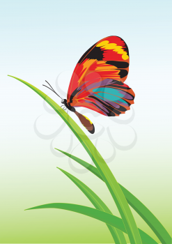 Royalty Free Clipart Image of a Butterfly