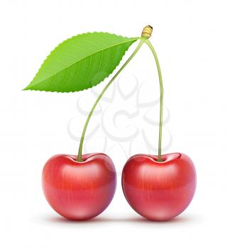 Vector illustration of two beautiful ripe red fresh cherries isolated on white background
