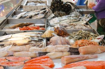 Sales of fresh fish on the market 