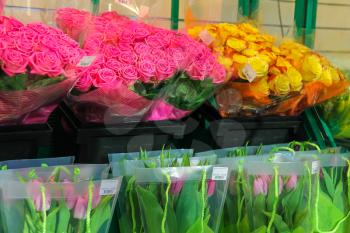 Selling colorful Dutch tulips and roses, the Netherlands