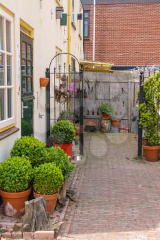 Street view of traditional house decorated with plants and flowers in Zandvoort, the Netherlands