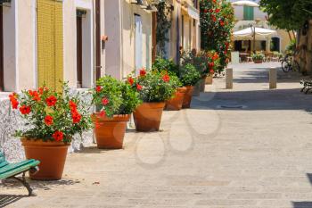 Decorative pots with red hibiscus flowers on the street of Italian town on Elba Island