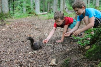 Two boys feed black squirrel in city park