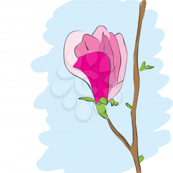 Royalty Free Clipart Image of a Magnolia Pink Flower