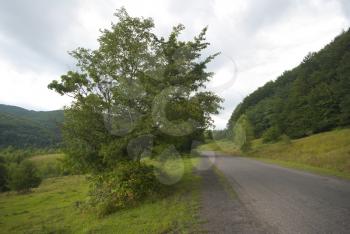 Royalty Free Photo of a Rural Mountain Road