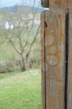 Aged wooden surface with green grass on background. Vertical textured old brown grunge plank.