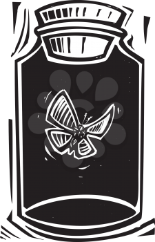 Woodcut style expressionist image of a butterfly in a killing jar.