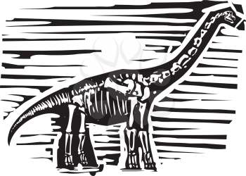Woodcut style image of a fossil of a long necked Apatosaurus or brontosaurus dinosaur
