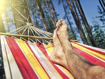 feet in the hammock on a background of pine forest