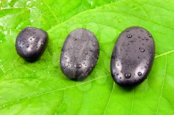 Royalty Free Photo of Stones on a Leaf