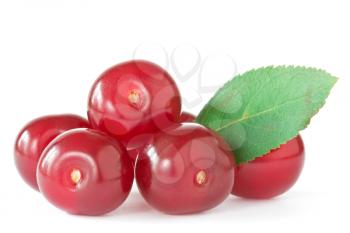 red cherries with a green leaf on white background