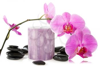 orchid,aromatic candle and black stones on a white background
