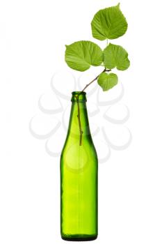 Green bottle with a plant inside, isolated on white background