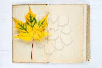Old open book and autumnal maple leaf