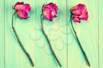  Three dried roses on blue wooden background