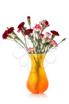Carnation bouquet in glass vase isolated on white background