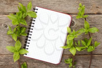 Green plants  and blank notebook on wooden background. Copy-space.