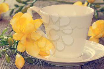 Soft pastel still life with freesia flowers and tea cup