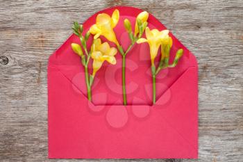 Yellow feesia flowers in red envelope,top view on wooden background