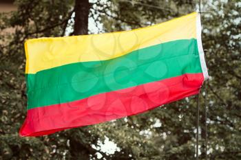 Lithuanian national flag waving on trees background