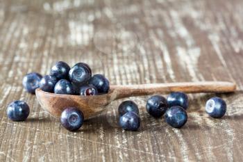  Studio macro of  blueberries on an old wooden spoon