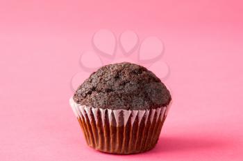 Chocolate muffin on pink background. Copy space.