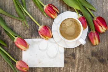 Tulips ,coffee cup and blank card for copy-space 